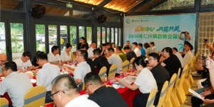 Cultural Chengmai: Twelve Highlights | Renxing Town Signs 520 Million Yuan in Deals During Sanyuesan